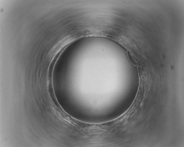 X0000060240290200510311529