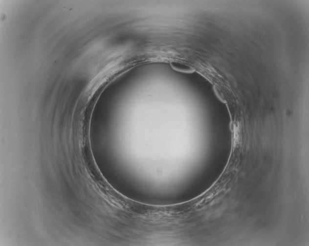 X0000060240291200510311529