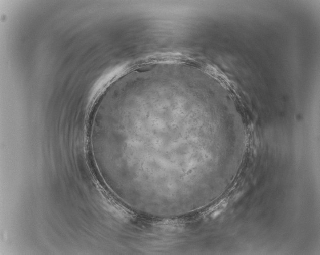 X0000060240293200510311529