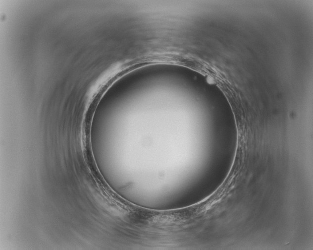 X0000060240294200510311529