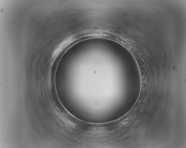 X0000060240296200510311529