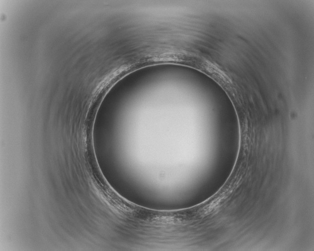 X0000060240298200510311529