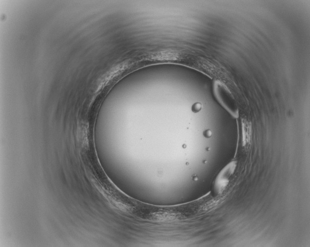 X0000060240300200510311529