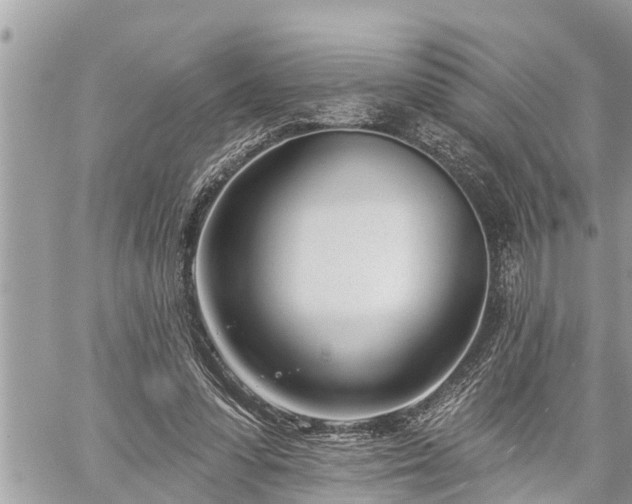 X0000060240303200510311529