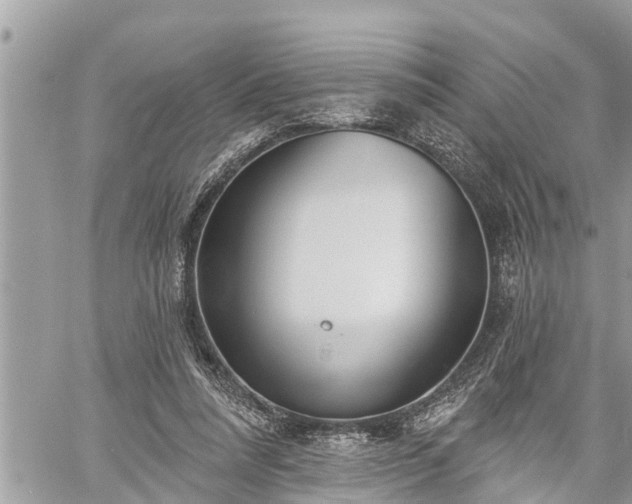 X0000060240304200510311529