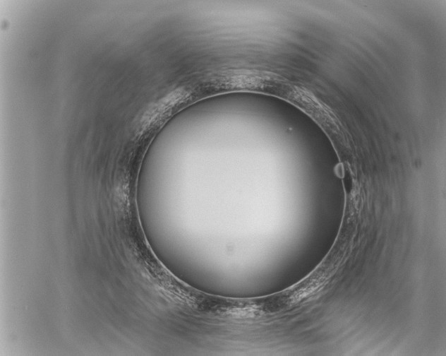 X0000060240306200510311529