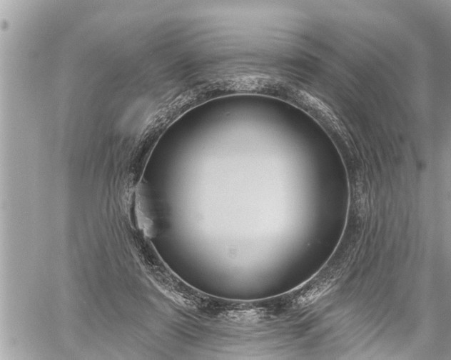 X0000060240307200510311529