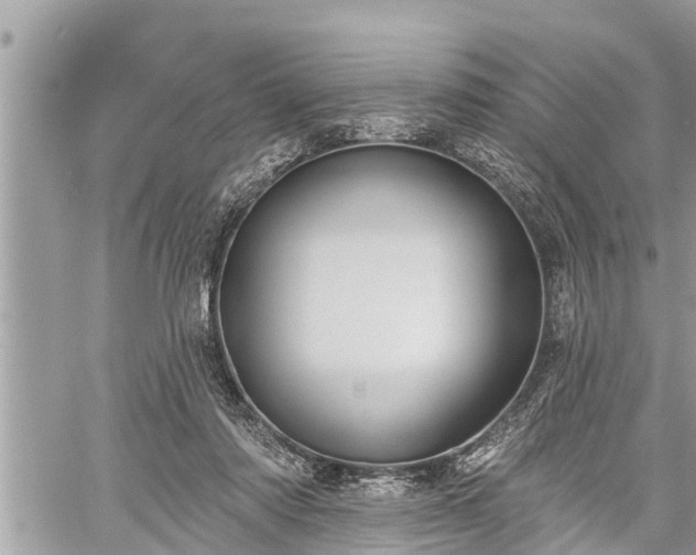 X0000060240310200510311529