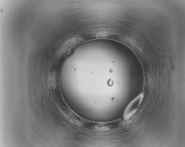 X0000060240311200510311529