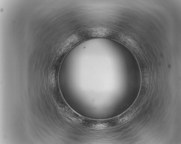 X0000060240312200510311529