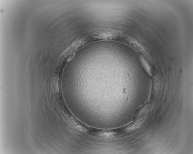 X0000060240313200510311529