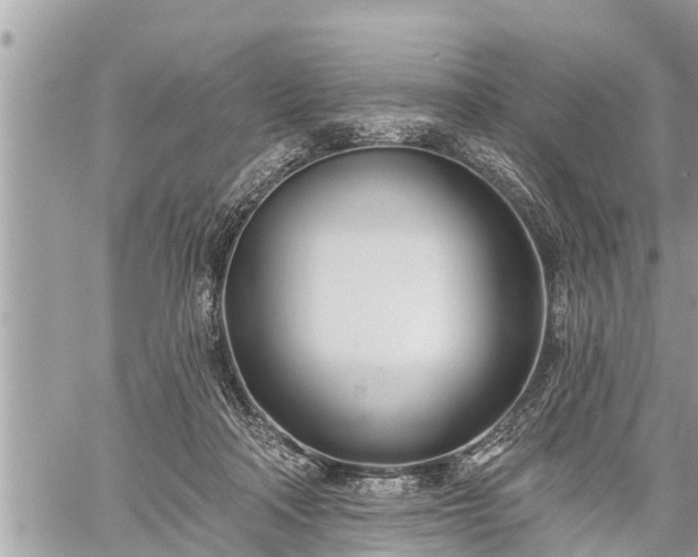 X0000060240314200510311529