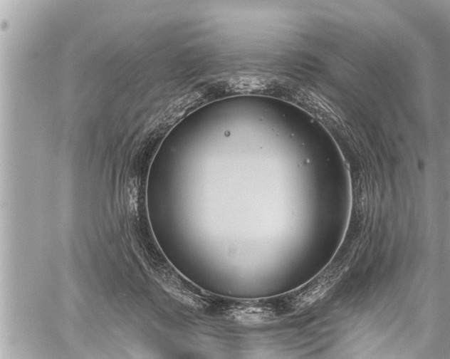 X0000060240315200510311529