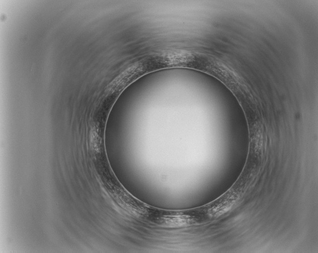 X0000060240316200510311529