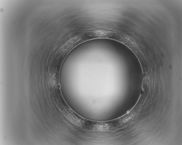 X0000060240317200510311529