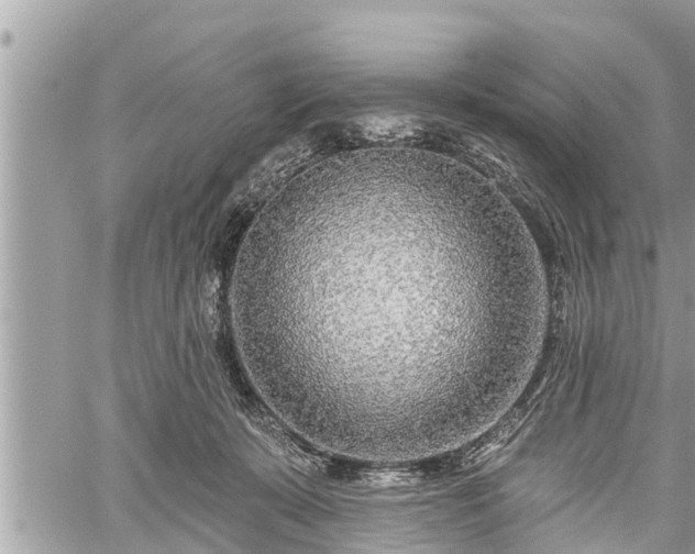 X0000060240319200510311529