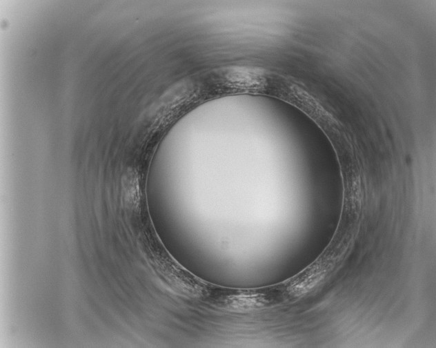 X0000060240320200510311529