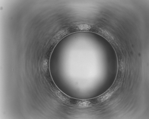 X0000060240321200510311529