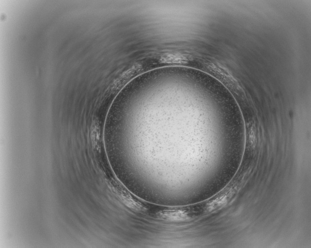 X0000060240322200510311529