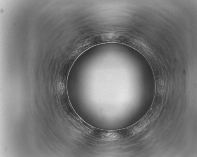 X0000060240324200510311529