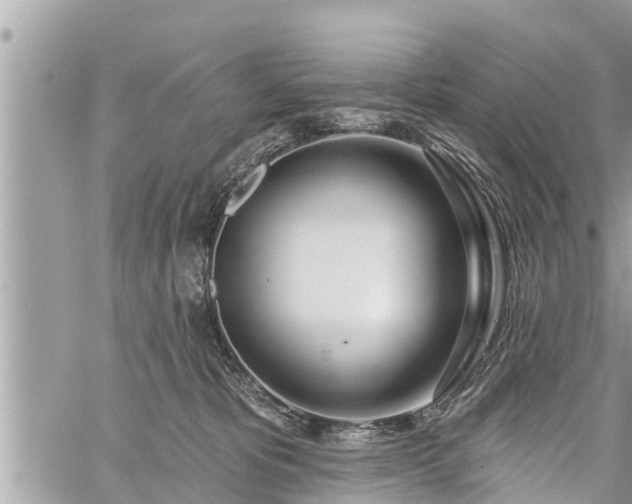 X0000060240325200510311529