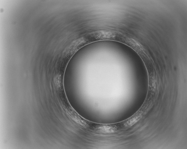 X0000060240326200510311529