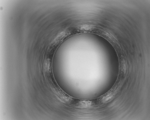 X0000060240328200510311528