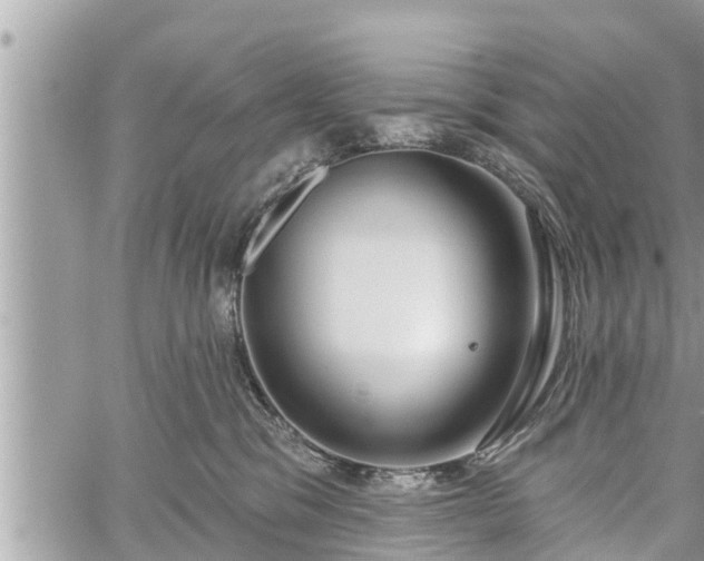 X0000060240329200510311528