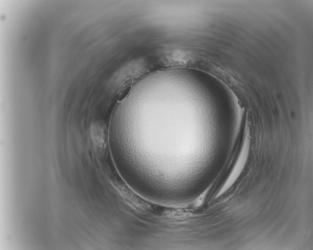 X0000060240331200510311528