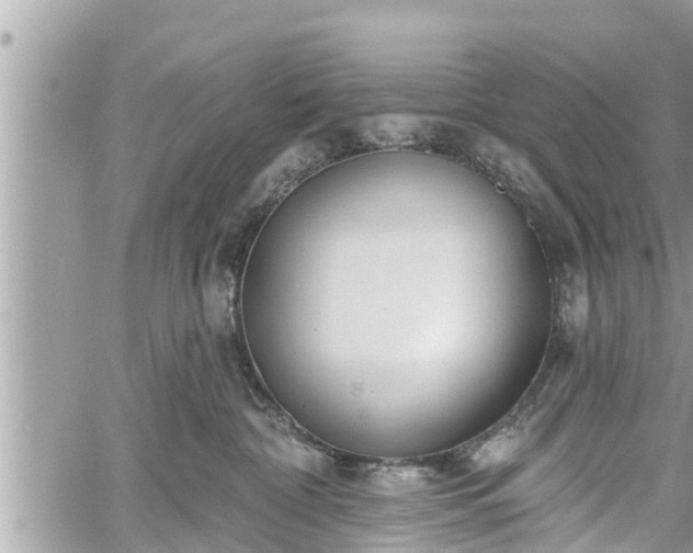 X0000060240332200510311528