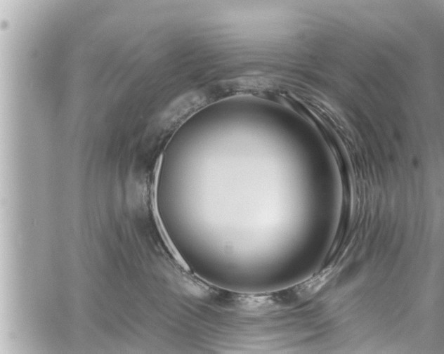 X0000060240333200510311528