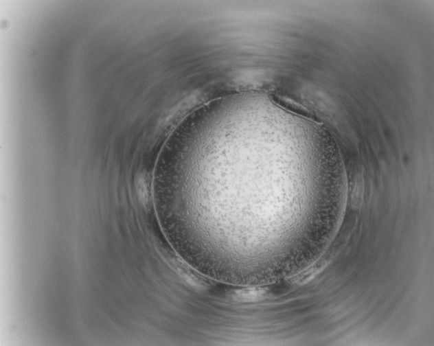 X0000060240335200510311528