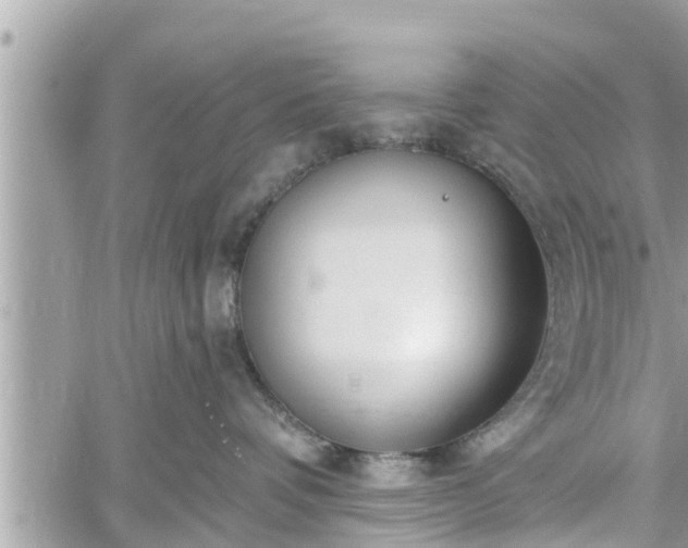 X0000060240336200510311528