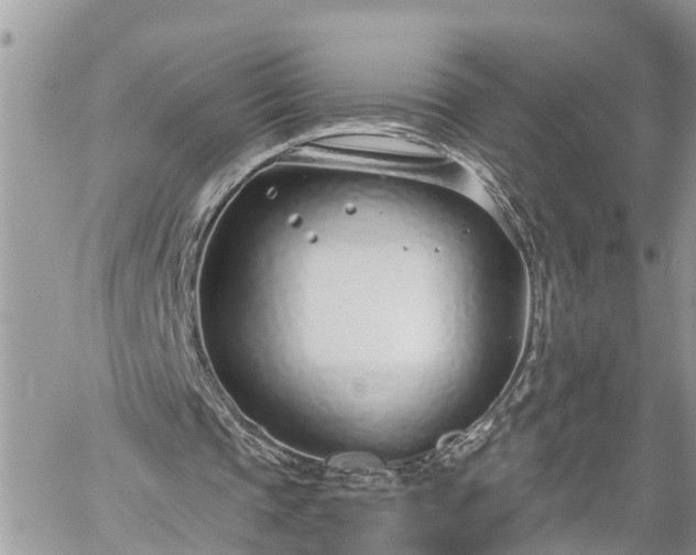 X0000060240337200510311528