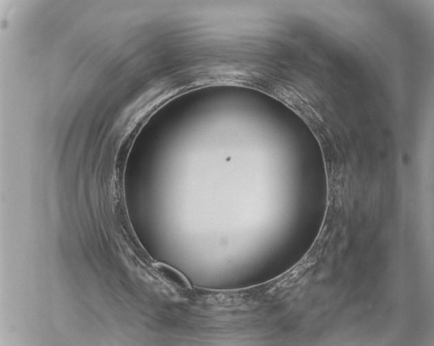 X0000060240338200510311528