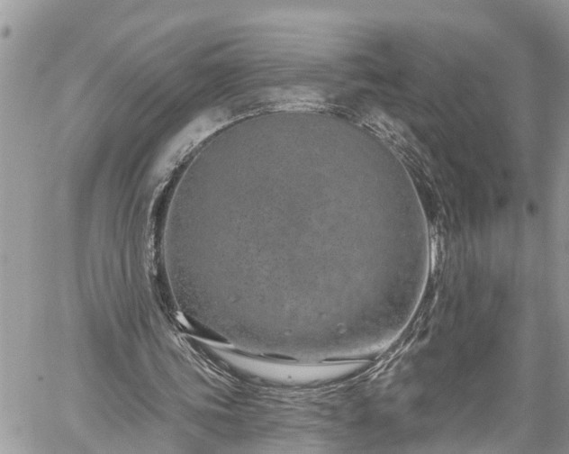 X0000060240339200510311528