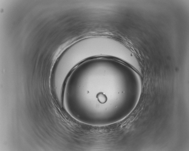 X0000060240340200510311528