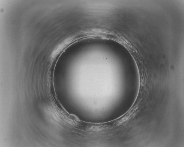 X0000060240341200510311528