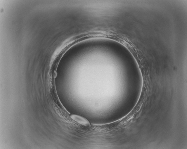 X0000060240343200510311528