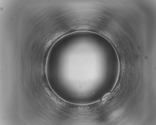 X0000060240345200510311528