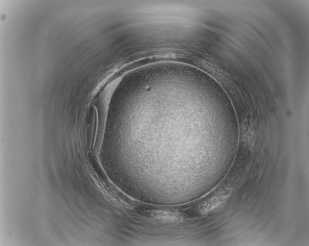 X0000060240347200510311528