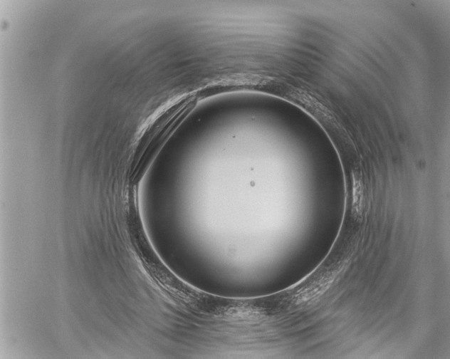 X0000060240348200510311528