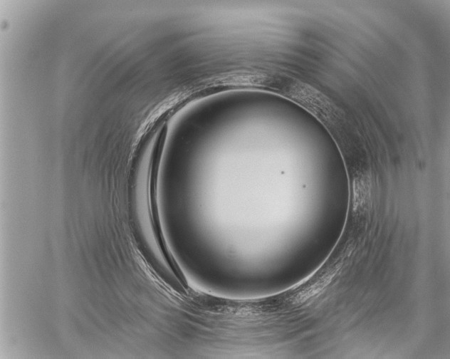 X0000060240349200510311528