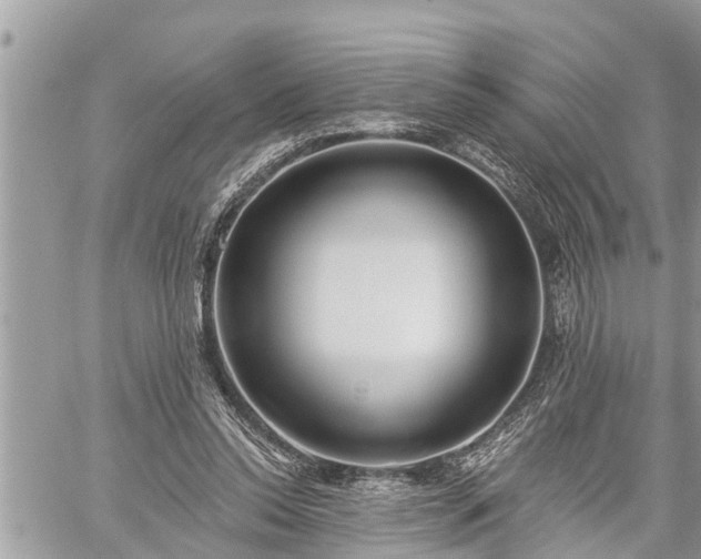 X0000060240350200510311528