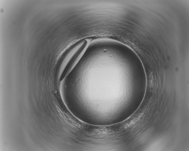 X0000060240351200510311528