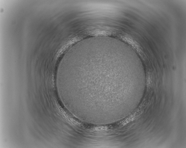 X0000060240353200510311528