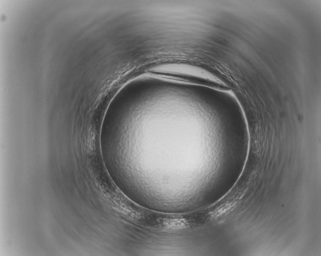 X0000060240355200510311528