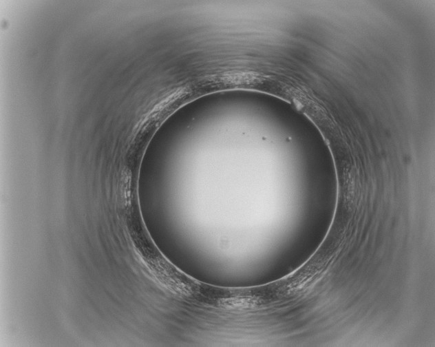 X0000060240356200510311528