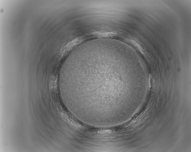 X0000060240357200510311528