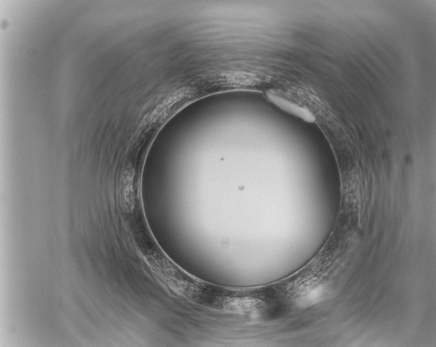 X0000060240360200510311528